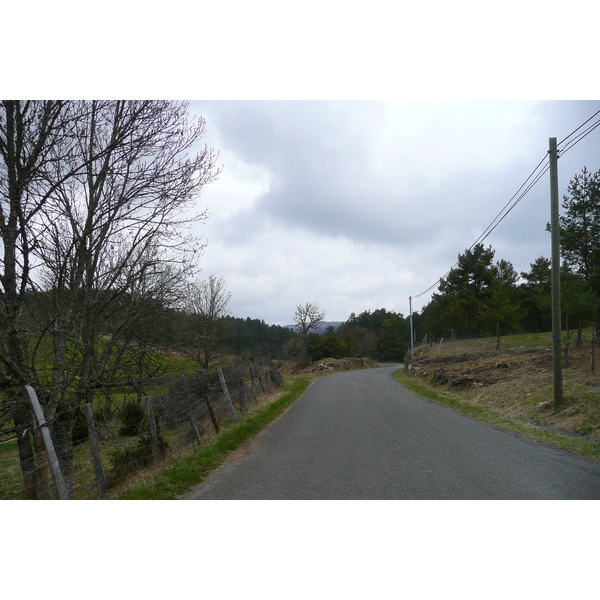 照片 法国(France) 奥布拉克(L'Aubrac) 2008-04 88