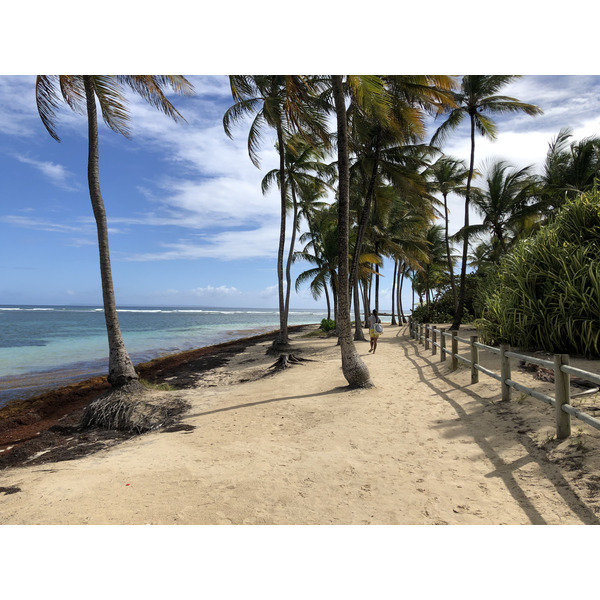 照片 瓜德罗普(Guadeloupe) 卡拉维尔海滩(La Caravelle Beach) 2021-02 6