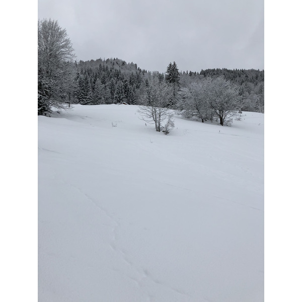 照片 法国(France) 拉克吕萨(La Clusaz) 2017-12 8