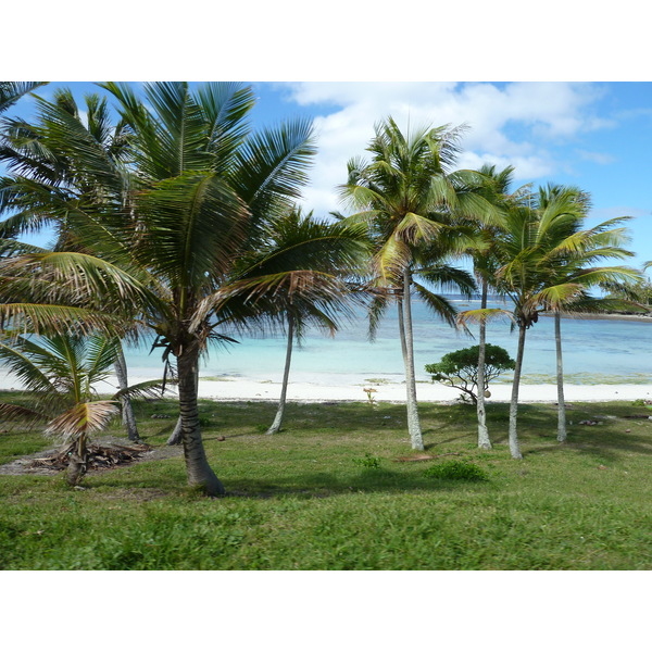 照片 新喀里多尼亚(New Caledonia) 利富岛(Lifou) 2010-05 30