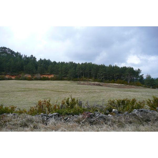 照片 法国(France) 奥布拉克(L'Aubrac) 2008-04 3