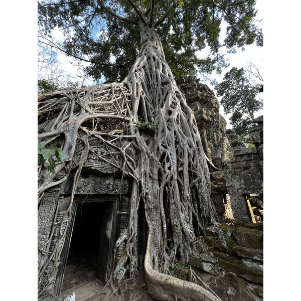 照片 柬埔寨(Cambodia) 暹粒(Siem Reap) 塔布茏寺(Ta Prohm) 2023-01 61