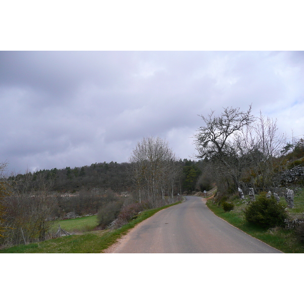 照片 法国(France) 奥布拉克(L'Aubrac) 2008-04 115