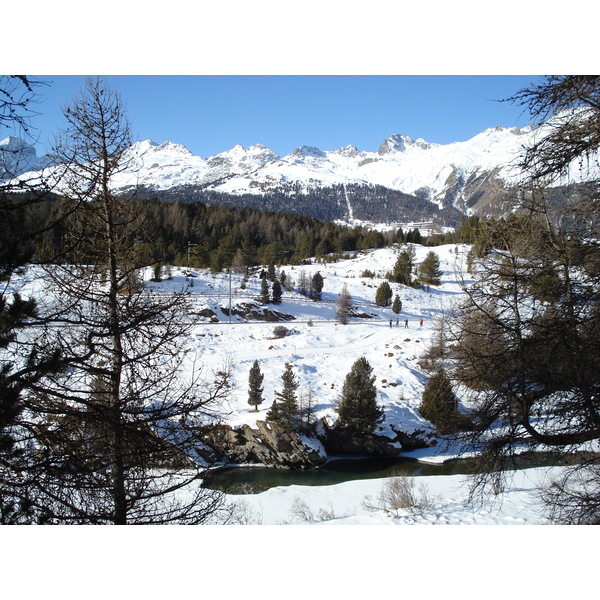 照片 瑞士(Switzerland) 蓬特雷西纳(Pontresina) 2007-01 0