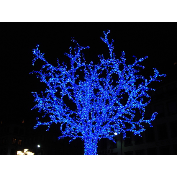 照片 法国(France) 斯特拉斯堡(Strasbourg) 2007-01 154