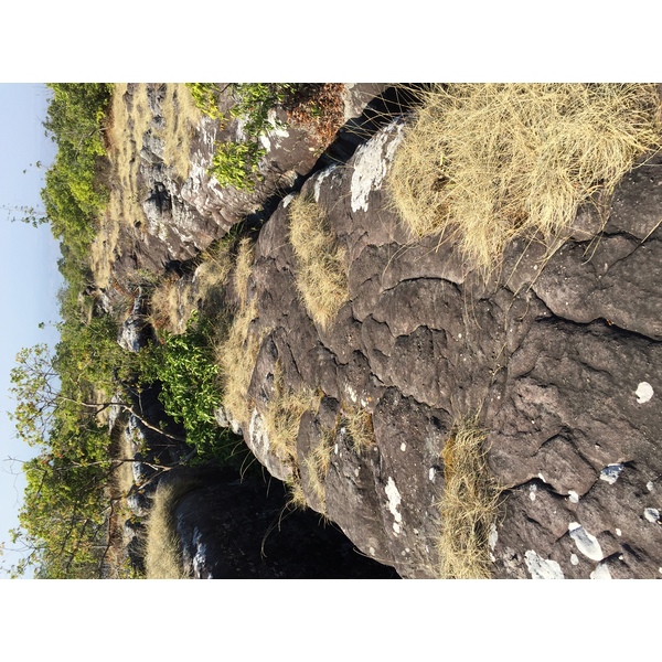 照片 泰国(Thailand) 普欣隆卡国家公园(Phu Hin Rong Kla National Park) 2014-12 166