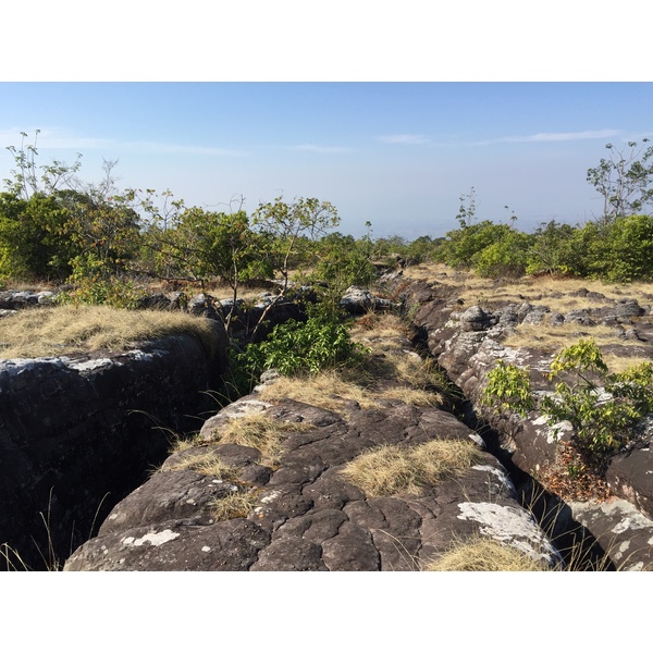 照片 泰国(Thailand) 普欣隆卡国家公园(Phu Hin Rong Kla National Park) 2014-12 191
