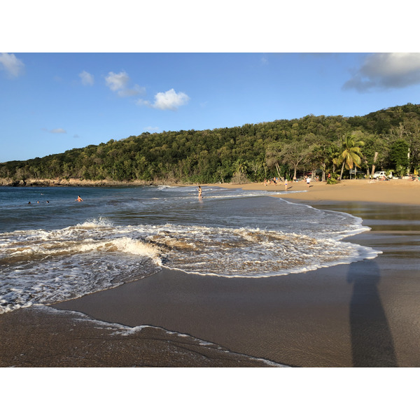 照片 瓜德罗普(Guadeloupe) 珍珠海滩(La Perle Beach) 2021-02 39