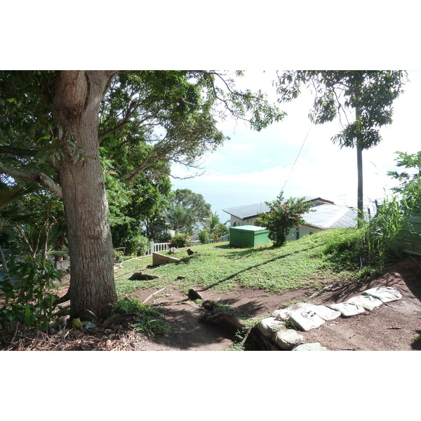 照片 塞舌尔(Seychelles) 普拉兰岛(Praslin) 2011-10 112