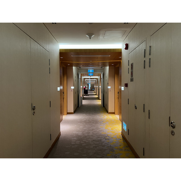 照片 新加坡(Singapore) 新加坡乌节门今旅酒店（香格里拉集团）(JEN Singapore Orchardgateway by Shangri La) 2023-01 79