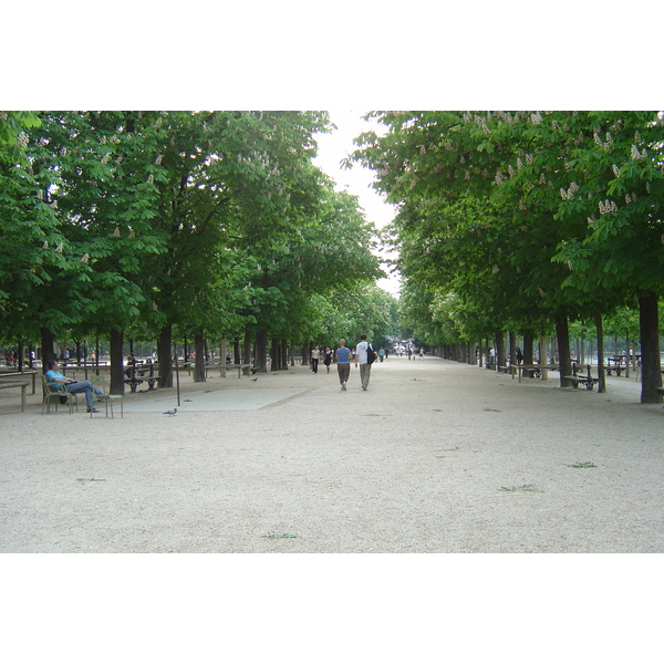 照片 法国(France) 巴黎(Paris) 卢森堡公园(Luxembourg Garden) 2007-04 87
