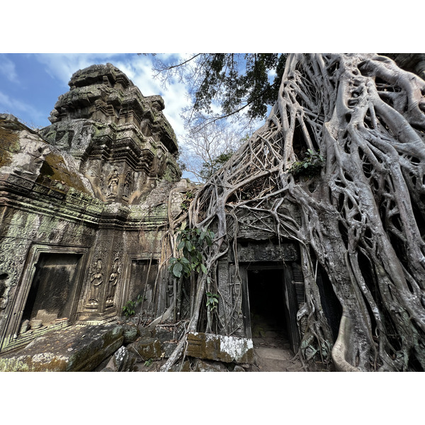 照片 柬埔寨(Cambodia) 暹粒(Siem Reap) 塔布茏寺(Ta Prohm) 2023-01 57