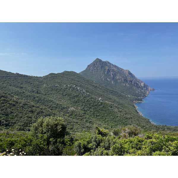 照片 法国(France) 科西嘉岛(Corsica) 奥萨尼(Osani) 2023-06 5