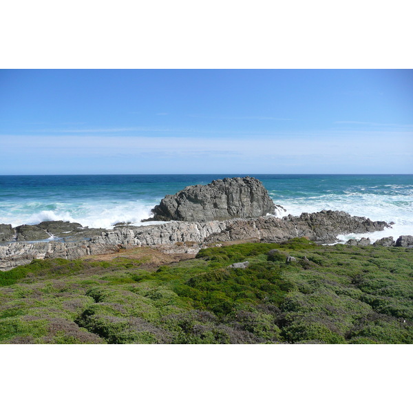 照片 南非(South Africa) 齐齐卡马国家公园(Tsitsikamma National Park) 2008-09 37