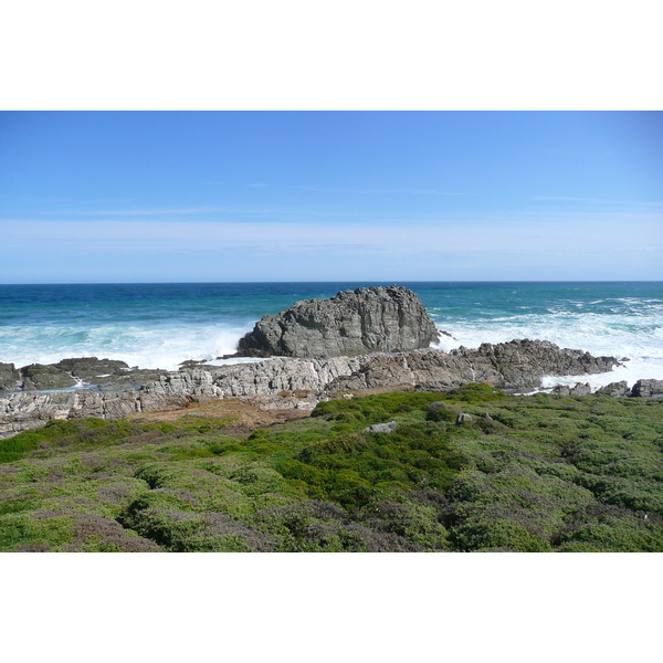 照片 南非(South Africa) 齐齐卡马国家公园(Tsitsikamma National Park) 2008-09 0
