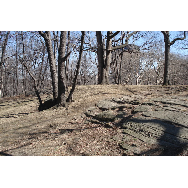 照片 美国(United States) 纽约(New York) 中央公园(Central Park) 2006-03 77