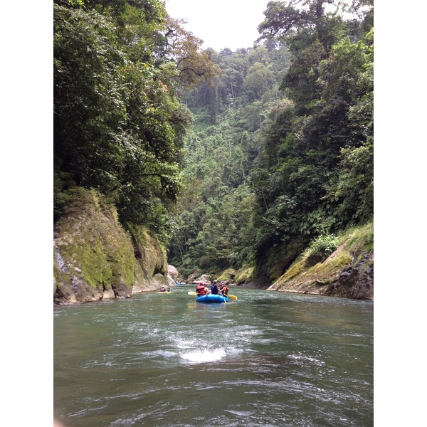 照片 哥斯达黎加(Costa Rica) 帕夸雷河(Pacuare River) 2015-03 77