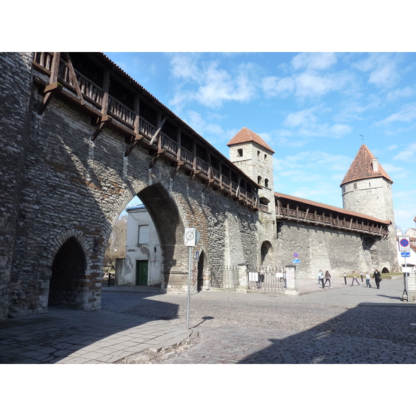照片 爱沙尼亚(Estonia) 塔林(Tallinn) 2009-04 43