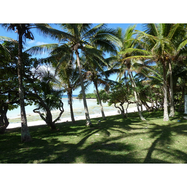 照片 新喀里多尼亚(New Caledonia) 利富岛(Lifou) 穆(Mu) 2010-05 39