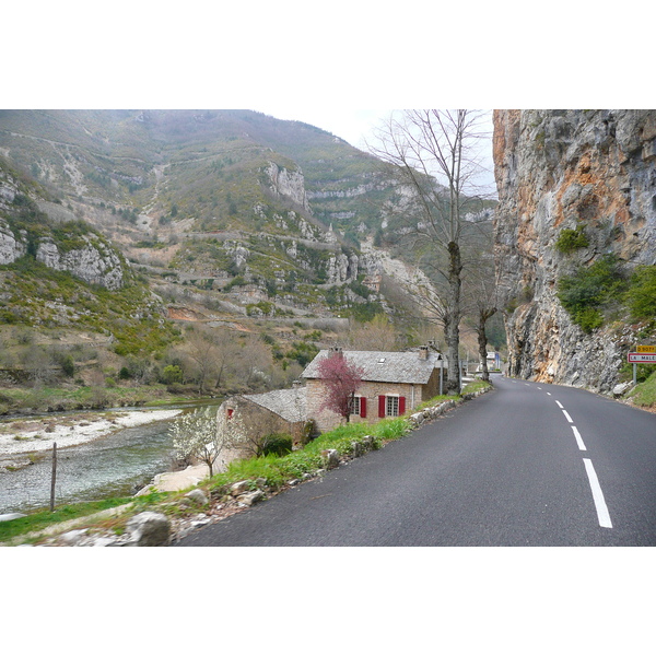 照片 法国(France) 塔恩峡谷(Gorges du Tarn) 2008-04 18