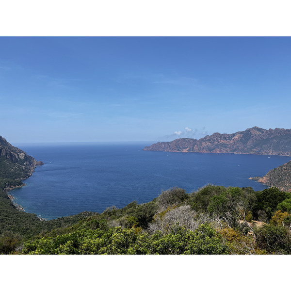 照片 法国(France) 科西嘉岛(Corsica) 奥萨尼(Osani) 2023-06 8