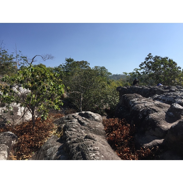 照片 泰国(Thailand) 普欣隆卡国家公园(Phu Hin Rong Kla National Park) 2014-12 258