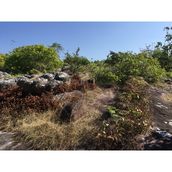照片 泰国(Thailand) 普欣隆卡国家公园(Phu Hin Rong Kla National Park) 2014-12 233