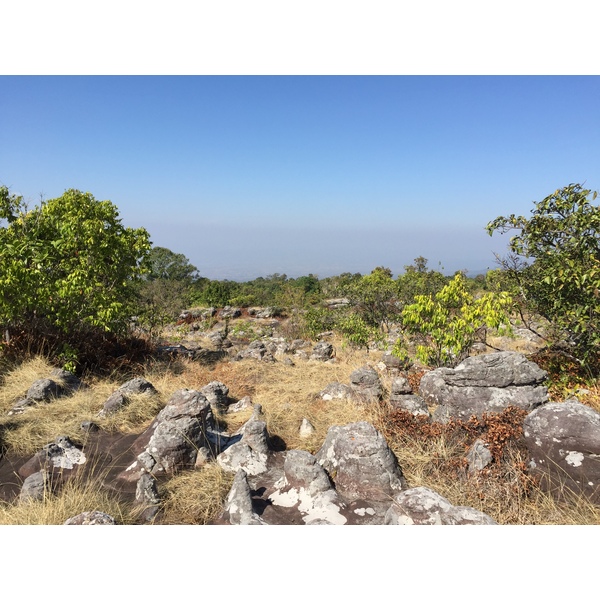照片 泰国(Thailand) 普欣隆卡国家公园(Phu Hin Rong Kla National Park) 2014-12 208