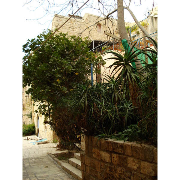照片 以色列(Israel) 雅法(Jaffa) 2006-12 126