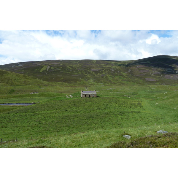 照片 英国(United Kingdom) 凯恩戈姆山国家公园(Cairngorms National Park) 2011-07 40