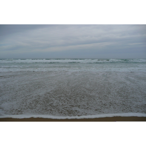 照片 南非(South Africa) 赫曼努斯至克尼斯纳公路(Harmanus to Knysna road) 2008-09 122