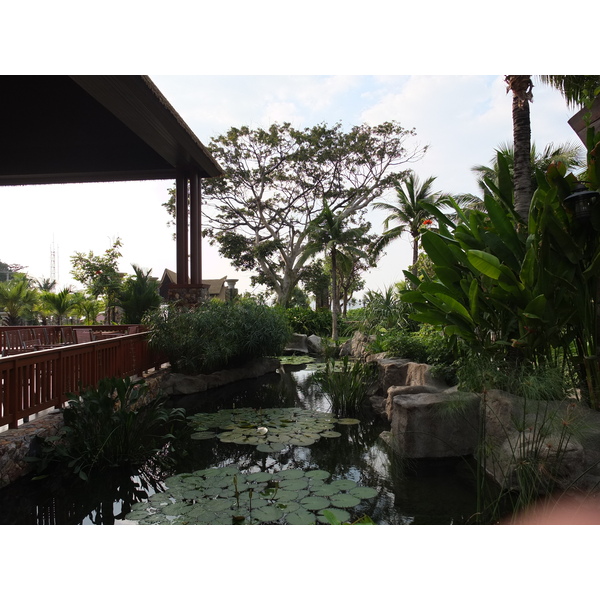 照片 泰国(Thailand) 芭提雅(Pattaya) 盛泰乐酒店(Centara Hotel) 2011-12 71