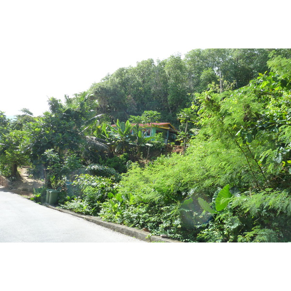 照片 塞舌尔(Seychelles) 普拉兰岛(Praslin) 2011-10 97