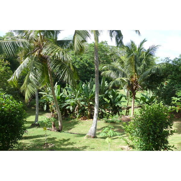 照片 塞舌尔(Seychelles) 普拉兰岛(Praslin) 2011-10 72