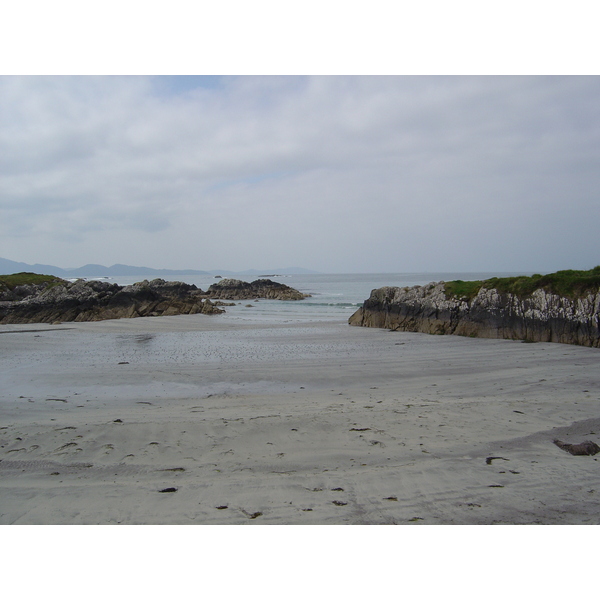 照片 爱尔兰(Ireland) 凯里郡(Kerry) 帕克纳西拉(Parknasilla) 2004-05 3