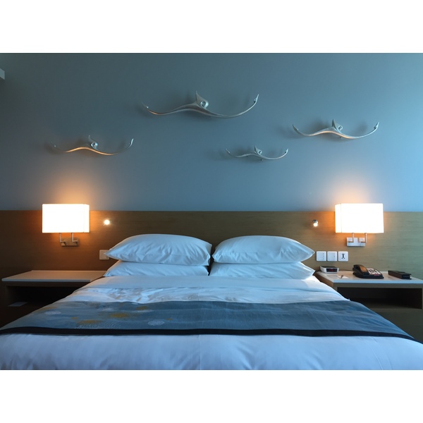 照片 泰国(Thailand) 罗勇万豪酒店(Marriott Rayong) 2016-01 58