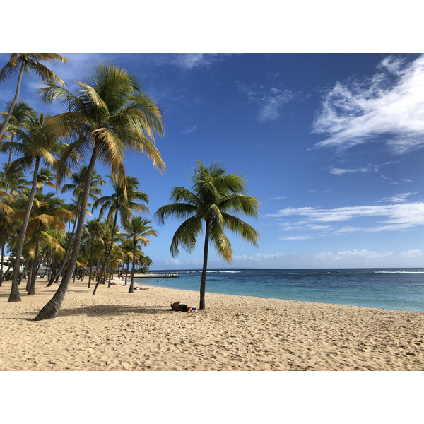 照片 瓜德罗普(Guadeloupe) 卡拉维尔海滩(La Caravelle Beach) 2021-02 139