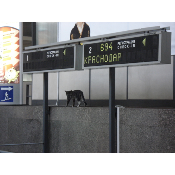 照片 俄罗斯(Russia) 圣彼得堡(St Petersburg) 郊区(Suburbs) 2006-07 5