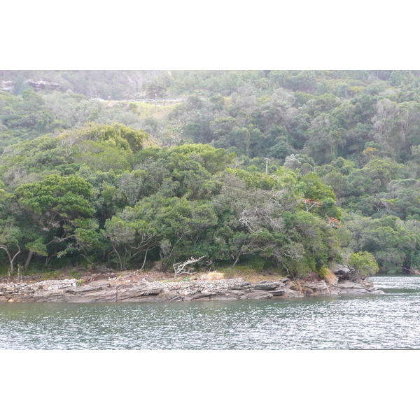 照片 南非(South Africa) 赫曼努斯至克尼斯纳公路(Harmanus to Knysna road) 2008-09 148