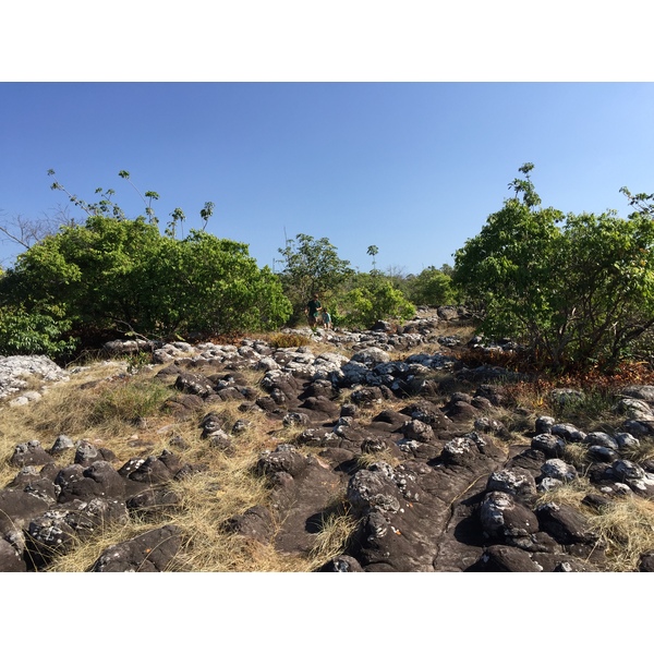 照片 泰国(Thailand) 普欣隆卡国家公园(Phu Hin Rong Kla National Park) 2014-12 41