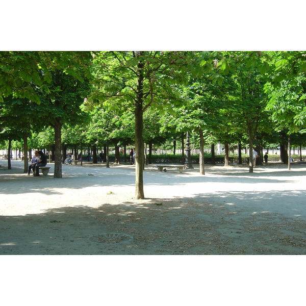 照片 法国(France) 巴黎(Paris) 杜乐丽花园(Garden of Tuileries) 2007-05 22