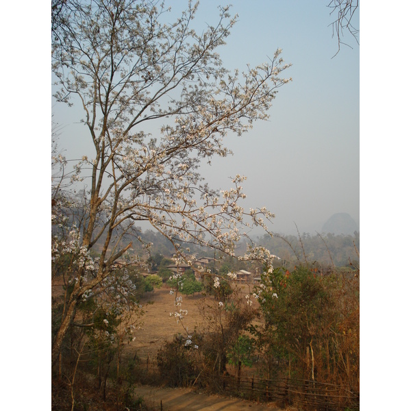照片 泰国(Thailand) 邦玛帕(Pang Mapha) 2007-02 43