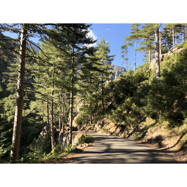 照片 法国(France) 科西嘉岛(Corsica) 雷斯托尼卡山谷(La Restonica) 2020-07 135