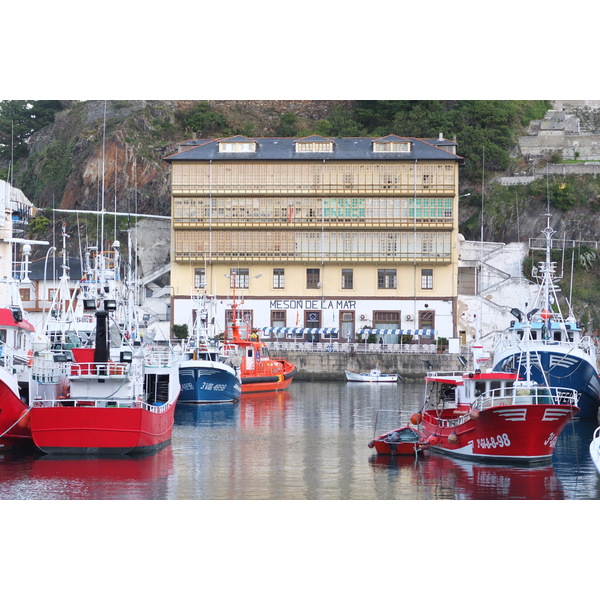 照片 西班牙(Spain) 卢阿尔卡(Luarca) 2013-01 40