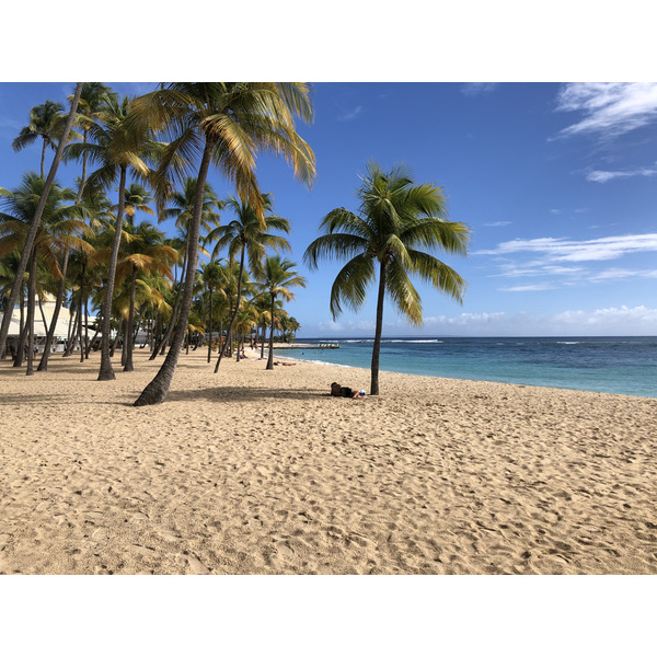 照片 瓜德罗普(Guadeloupe) 卡拉维尔海滩(La Caravelle Beach) 2021-02 153