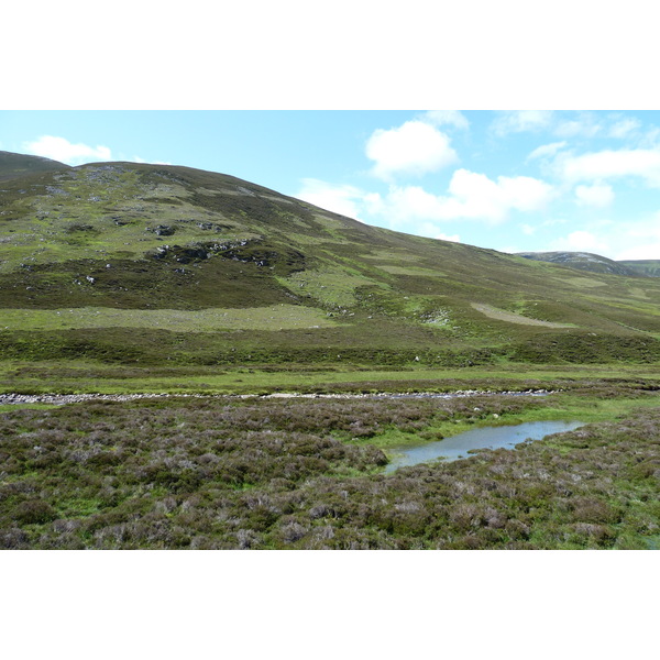 照片 英国(United Kingdom) 凯恩戈姆山国家公园(Cairngorms National Park) 2011-07 74