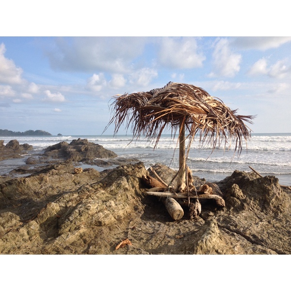 照片 哥斯达黎加(Costa Rica) 多米尼卡尔(Dominical) 2015-03 79