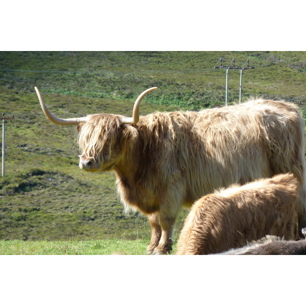 照片 英国(United Kingdom) 斯凯岛(Skye) 库林山脉(The Cuillin) 2011-07 124