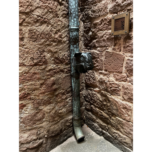 照片 法国(France) 上国王堡(Koenigsbourg Castle) 2023-10 125