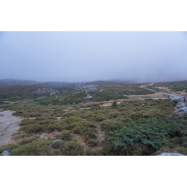 照片 法国(France) 科西嘉岛(Corsica) 阿尔塔罗卡(Alta Rocca) 2017-09 36